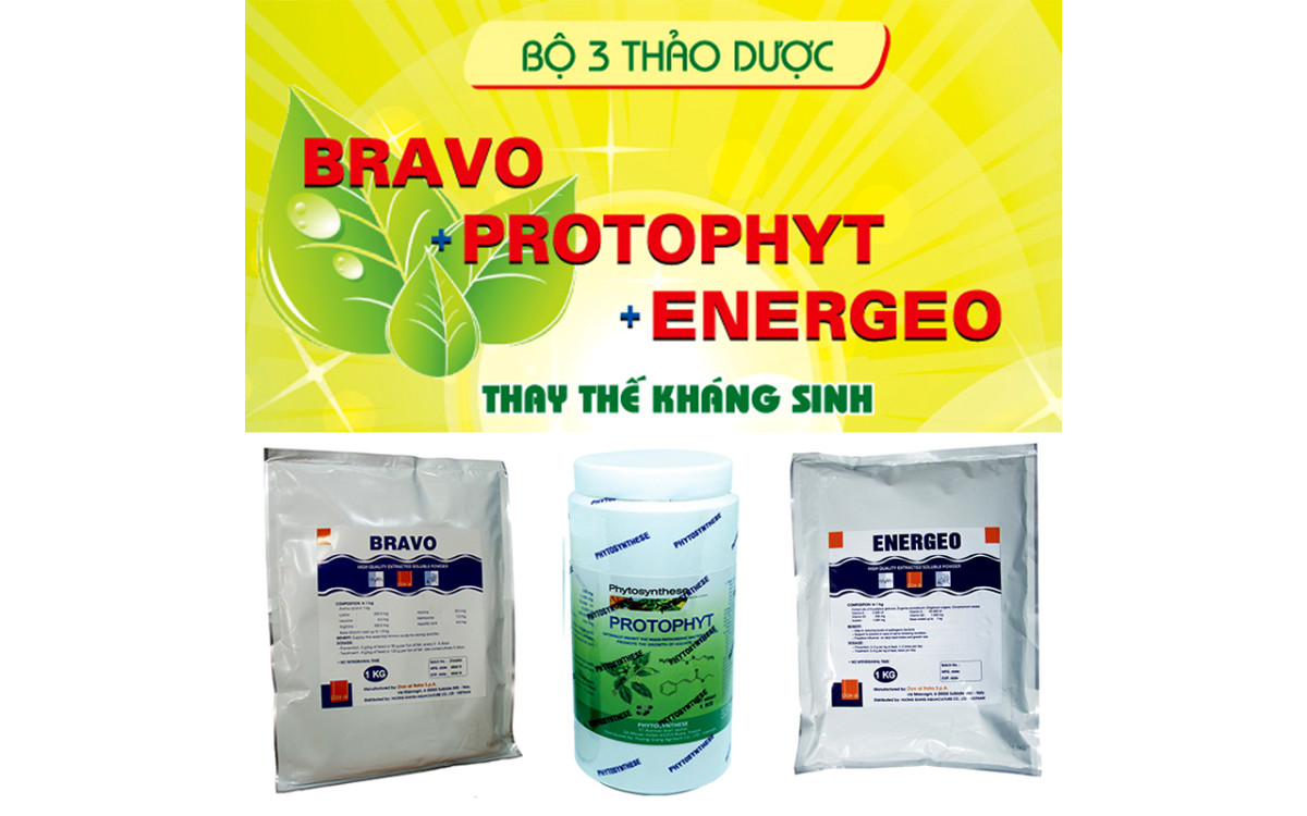 BỘ BA THẢO DƯỢC THAY KH&Aacute;NG SINH TRONG NU&Ocirc;I T&Ocirc;M